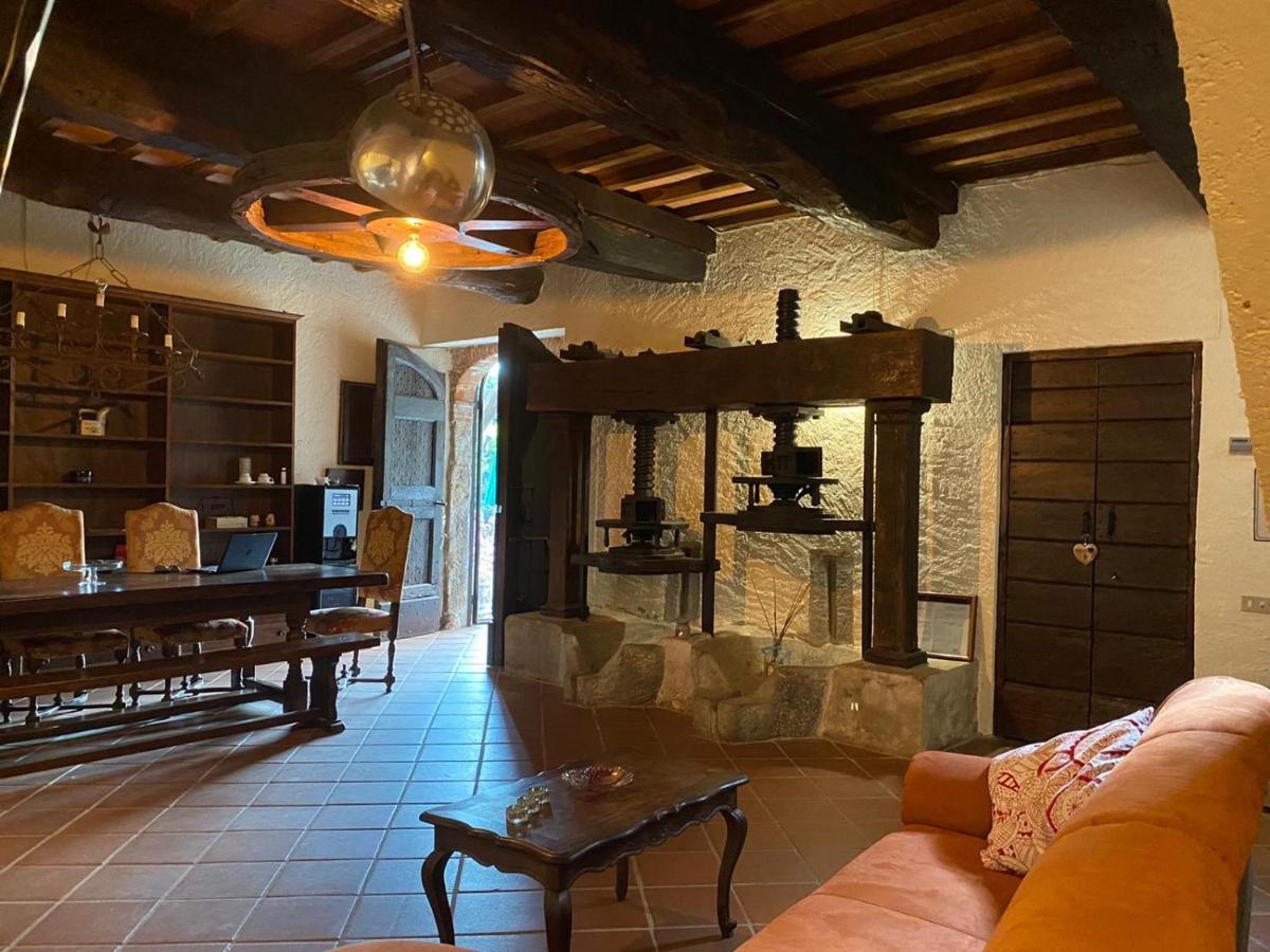 Guest House Antico Frantoio Pietrasanta Affittacamere Exterior foto