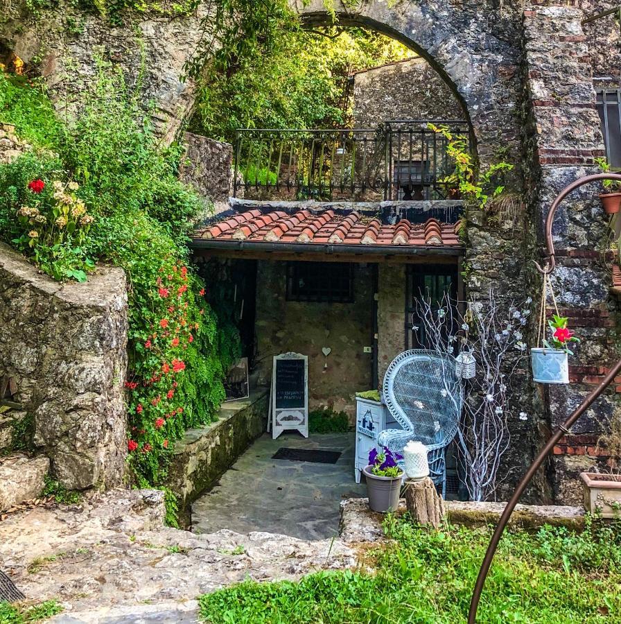 Guest House Antico Frantoio Pietrasanta Affittacamere Exterior foto