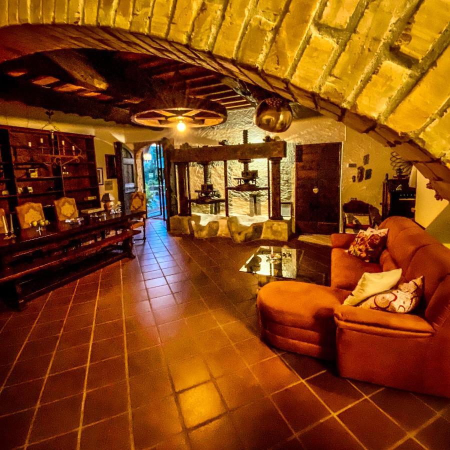 Guest House Antico Frantoio Pietrasanta Affittacamere Exterior foto