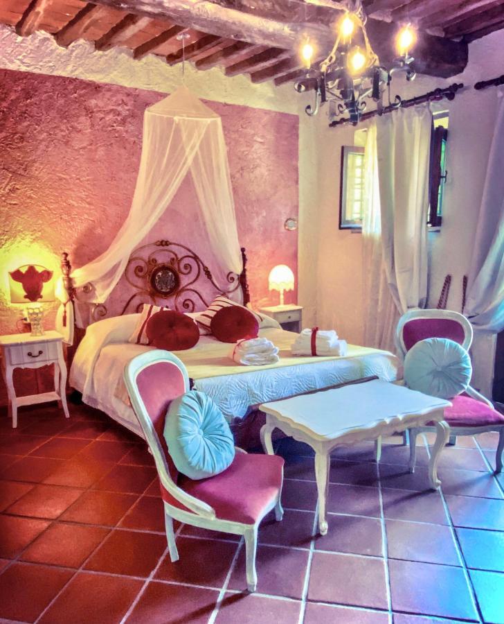 Guest House Antico Frantoio Pietrasanta Affittacamere Exterior foto