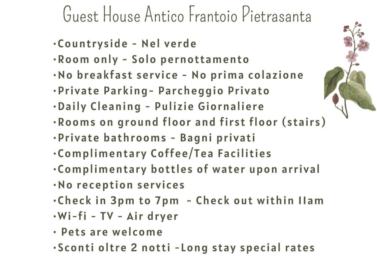 Guest House Antico Frantoio Pietrasanta Affittacamere Exterior foto