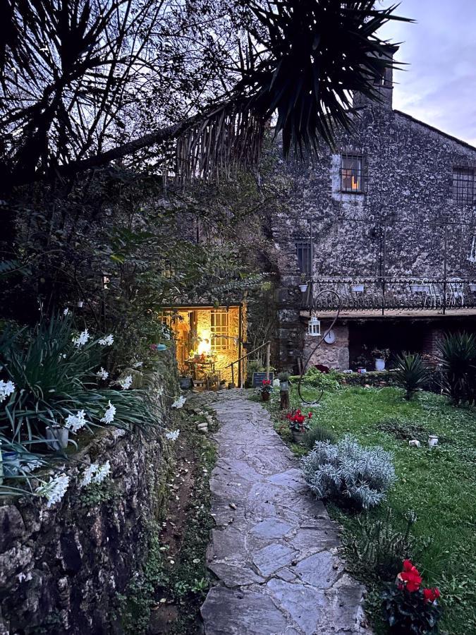 Guest House Antico Frantoio Pietrasanta Affittacamere Exterior foto